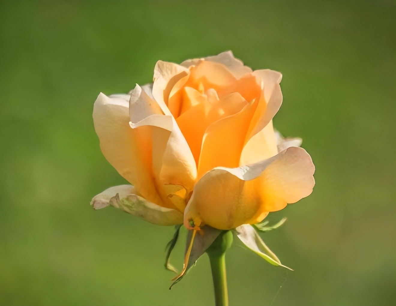 与人交往中如何识人,如何知道对方是否值得深交