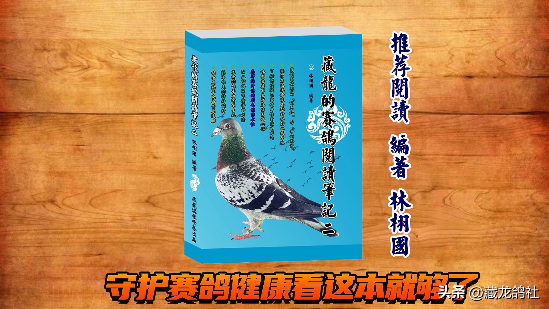 幼鸽眼肿喘气治疗,幼鸽为什么会口黄