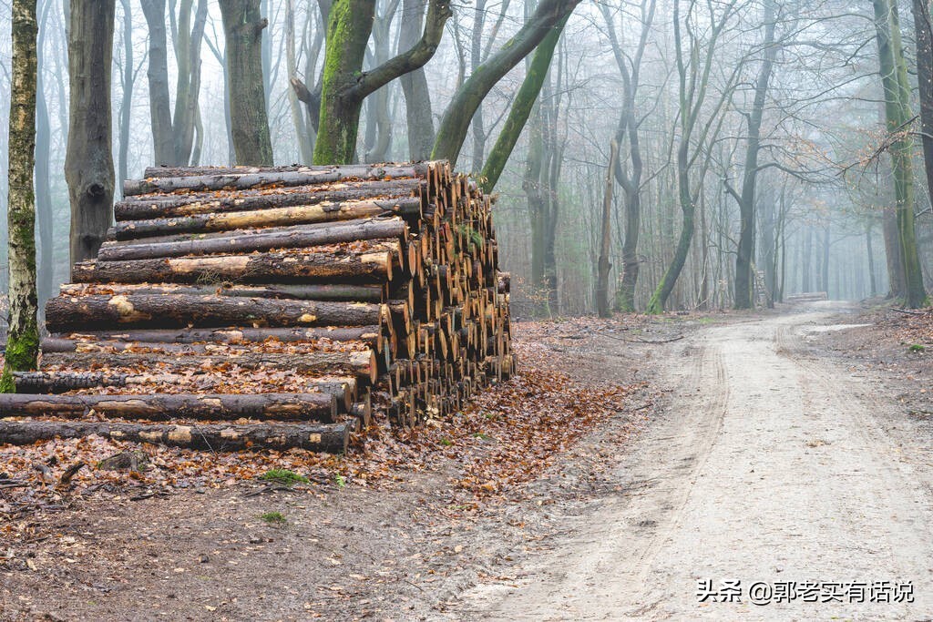 五行相生相克的关系的详细解释,五行生克与后天八卦