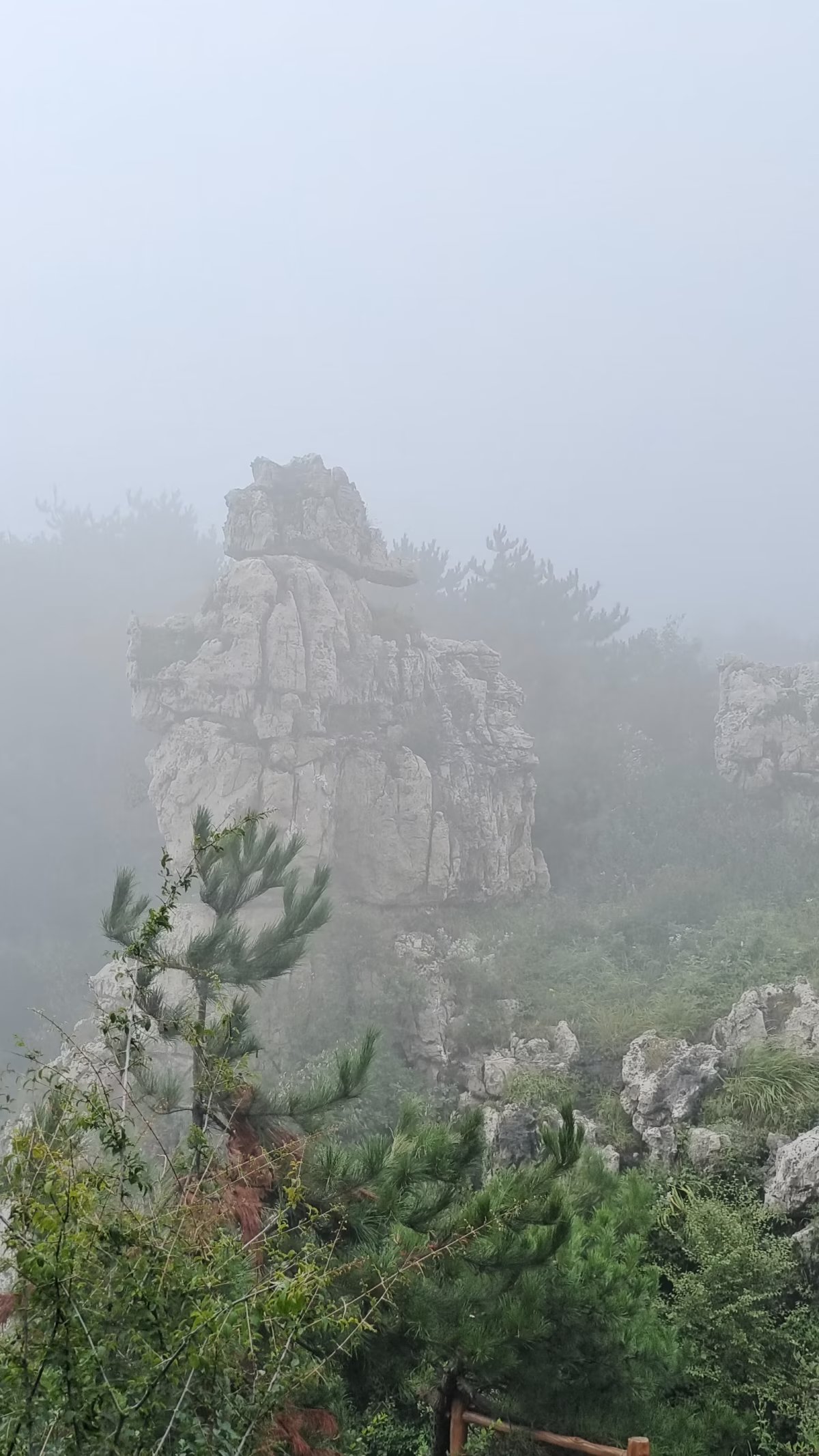 太行山脉徒步穿越,南太行十字岭徒步王莽岭