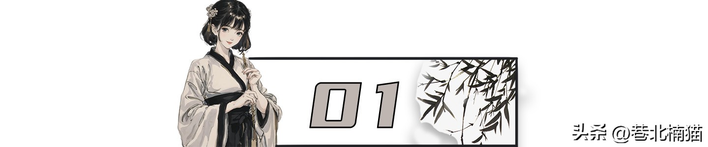 明星嘴突戴牙套前后对比,明星和假牙