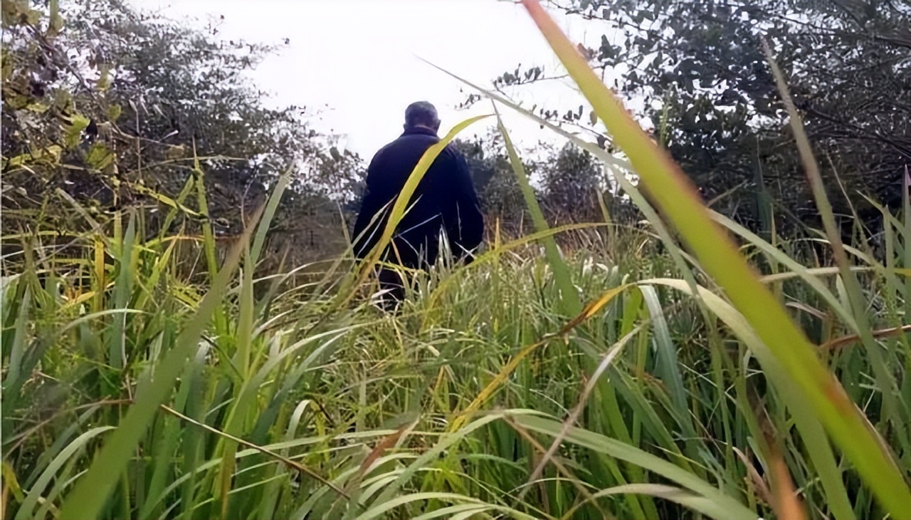 贵州村民盖新房挖出古墓,江西千年古墓被挖十几次