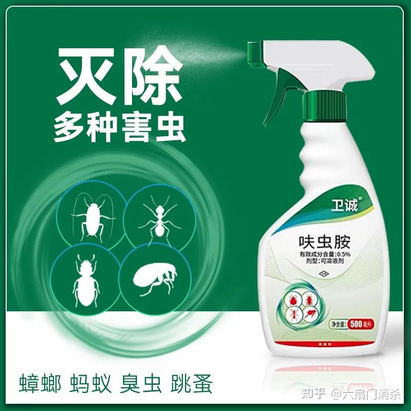 夏天果蝇从哪儿来,天气变暖好多果蝇