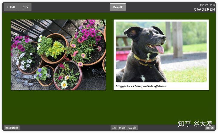 css响应式布局网站推荐,web前端divcss布局技巧