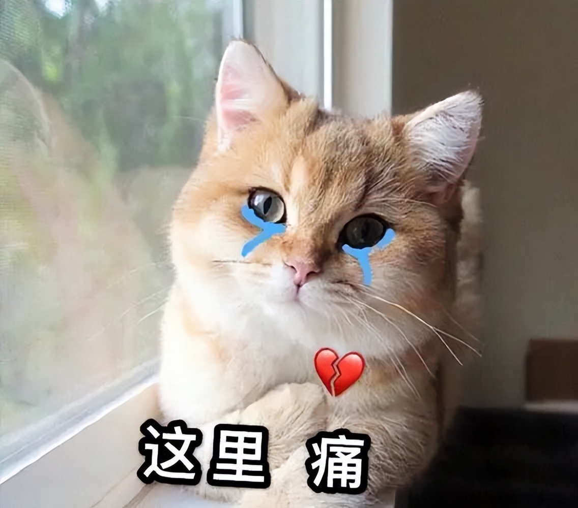 墙面渗水发霉怎么修复,墙纸渗水发霉开裂如何修复