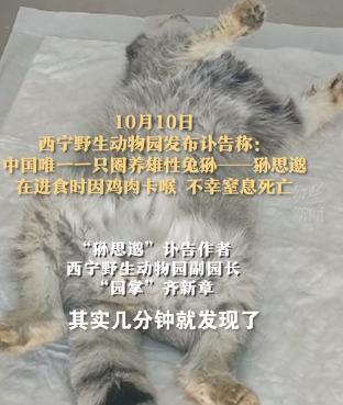 中国最大无人动物园,中国十大动物园红山动物园