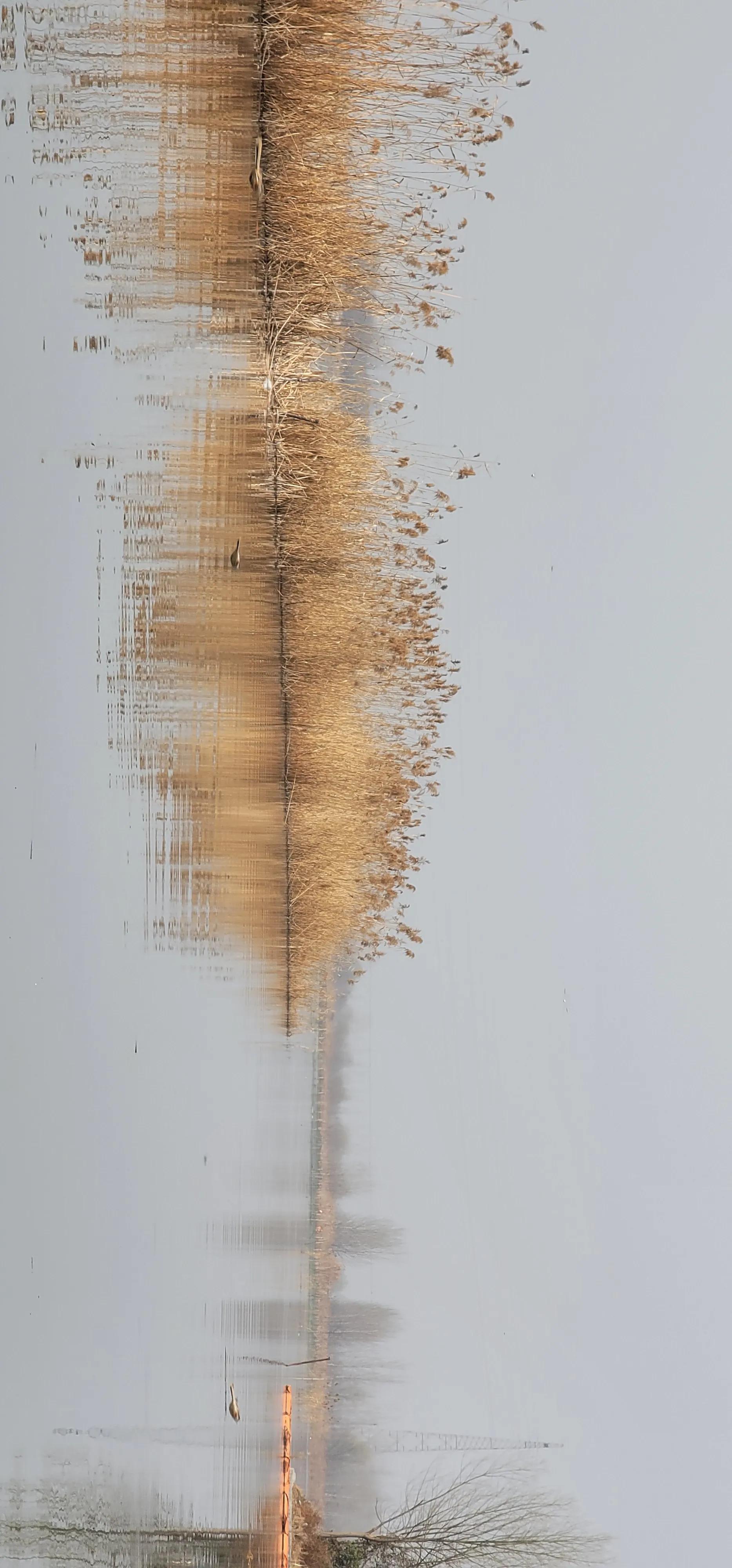 开着沪牌回老家怎么样,开着大巴玩转江浙沪