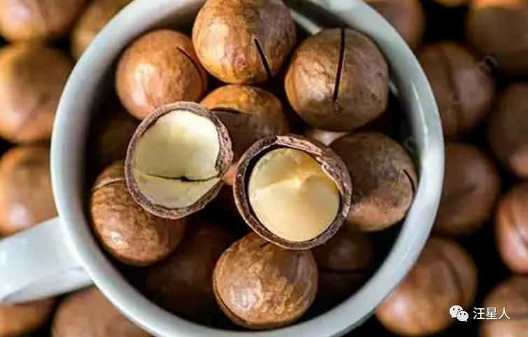 狗狗吃了夏威夷果怎么解决,狗狗吃了夏威夷果一只后腿瘸