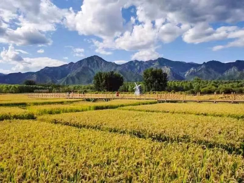 2020北京网红打卡地有哪些,2022北京市内打卡网红地