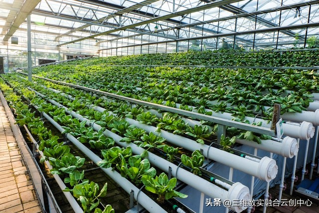 农业发展重点突破,农业创新发展模式