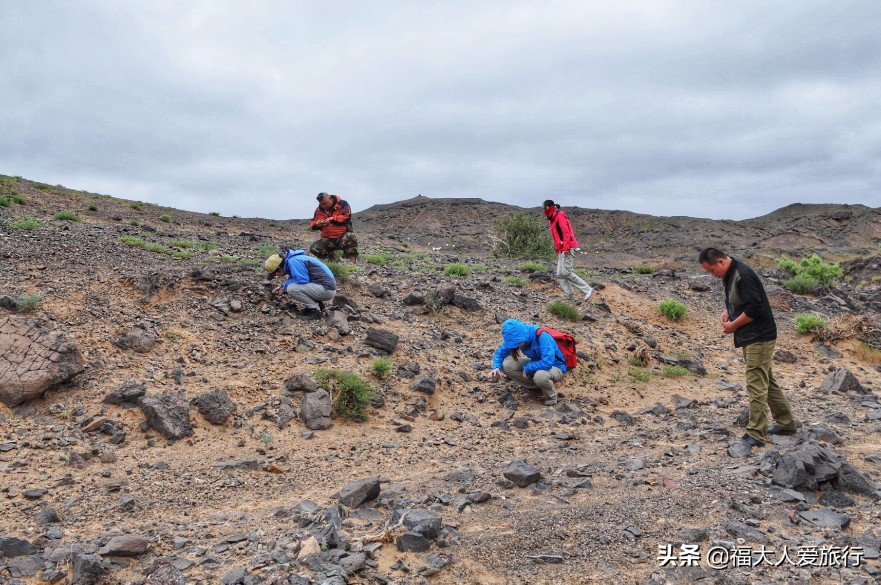 阿拉善玛瑙原石大量出售,阿拉善玛瑙原石出售