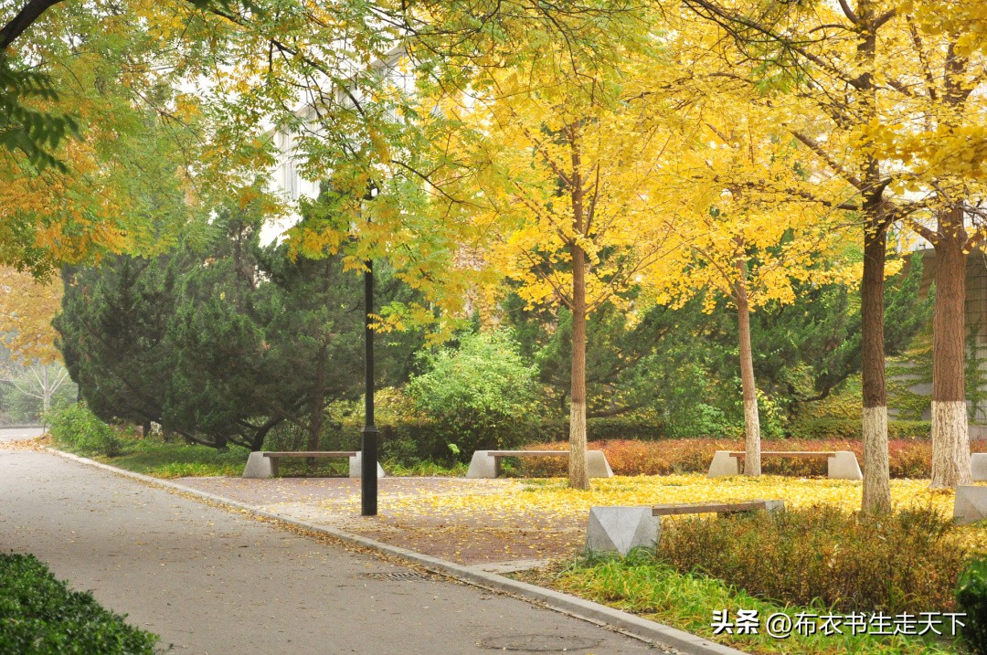 一个方向,香港新方向