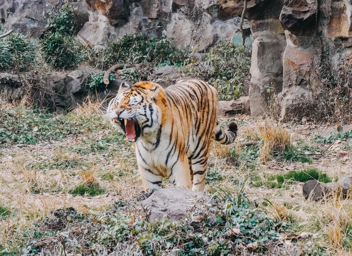 杭州十大著名景点,杭州西湖十大景点顺序