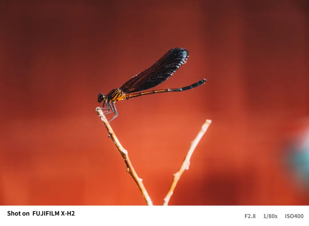 富士xh2高像素评测,富士XH2和XH2S视频性能对比