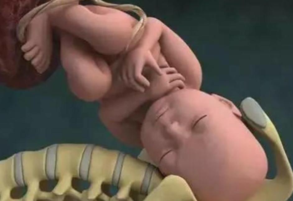 顺产时，为什么是胎儿的“头”先出来而不是脚呢？原因挺有意思