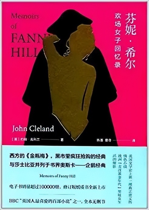 芬妮希尔回忆录经典语录,芬妮希尔回忆录书评