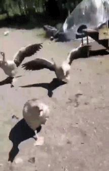 地铁时髦的上海阿姨,地铁上海阿姨