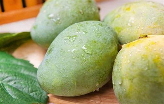 怎么快速有效的催熟芒果,青芒果如何催熟最快