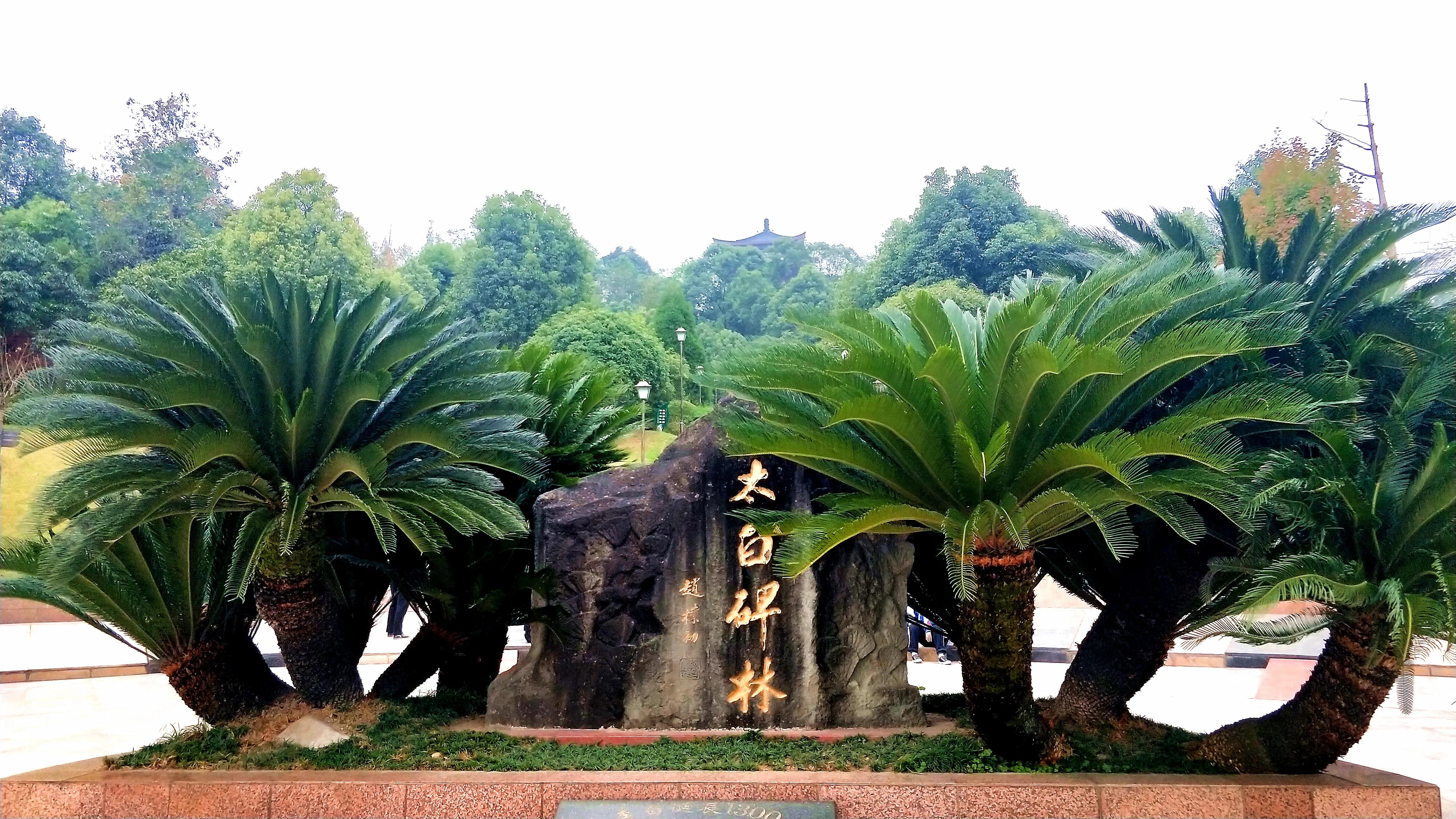 李白晚年为什么发现酒隐安陆,李白酒隐安陆时创作的诗作