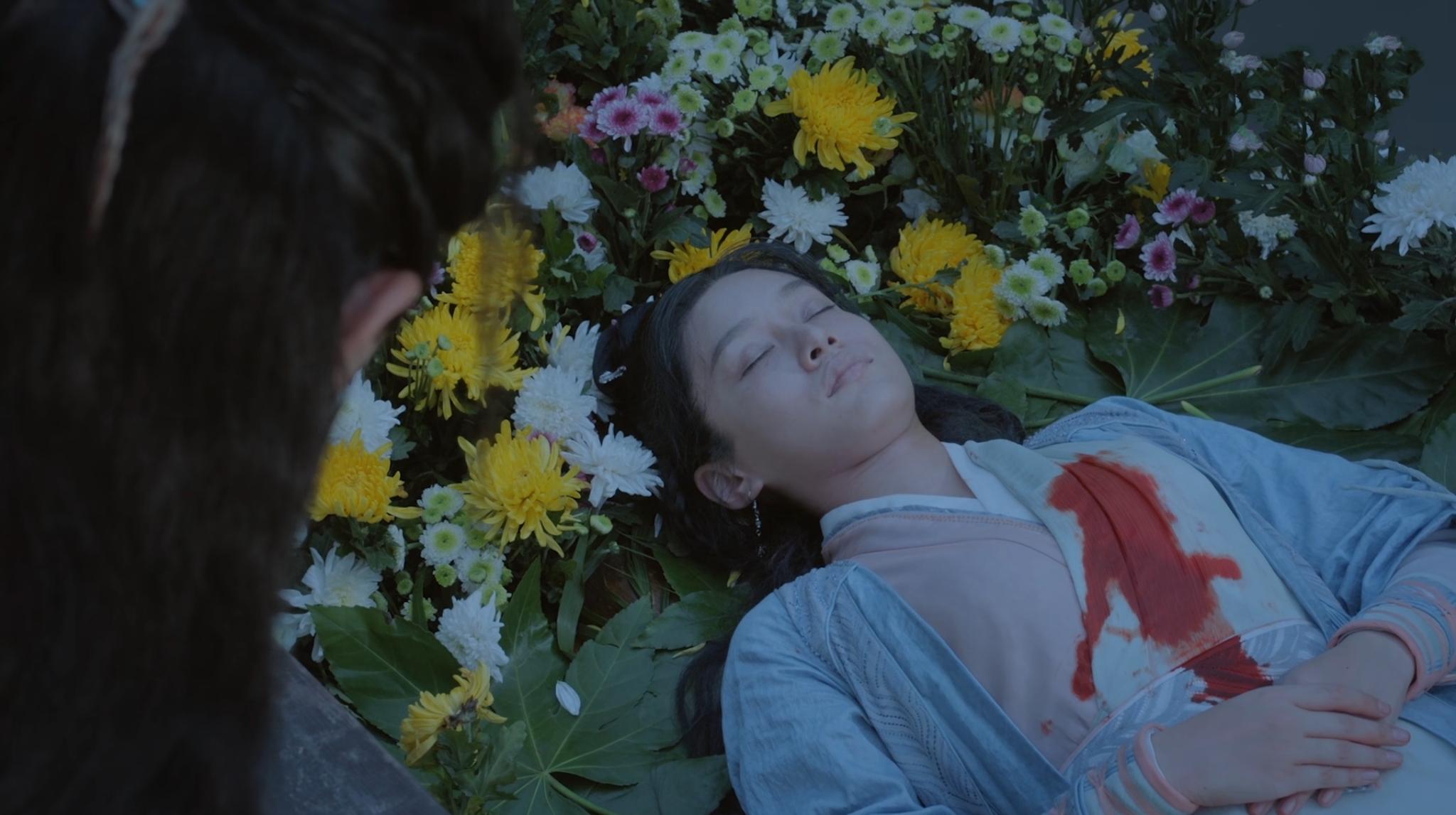 镜双城杀夫人后续,镜双城别人杀白缨