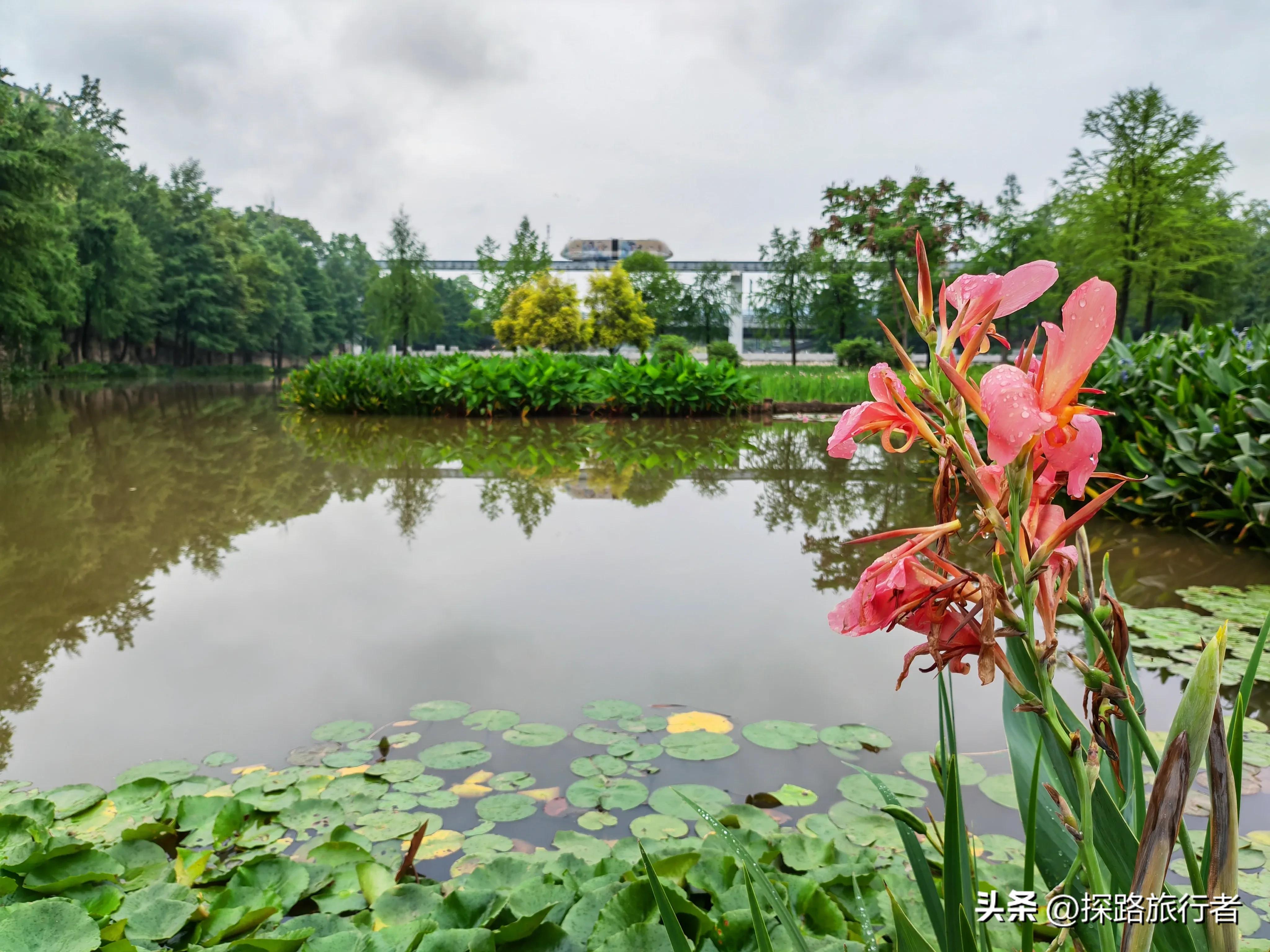 游玩璧山的秀湖公园攻略,璧山秀湖公园玩什么