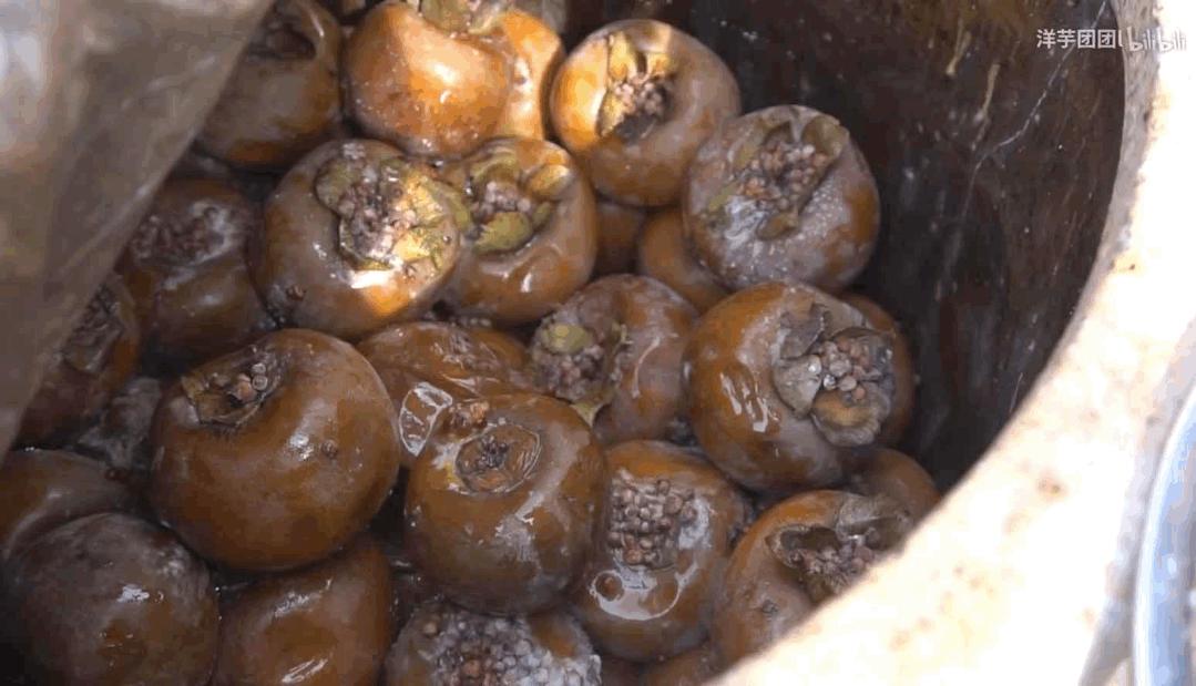 吃面大省甘肃，为什么离不开杂粮？