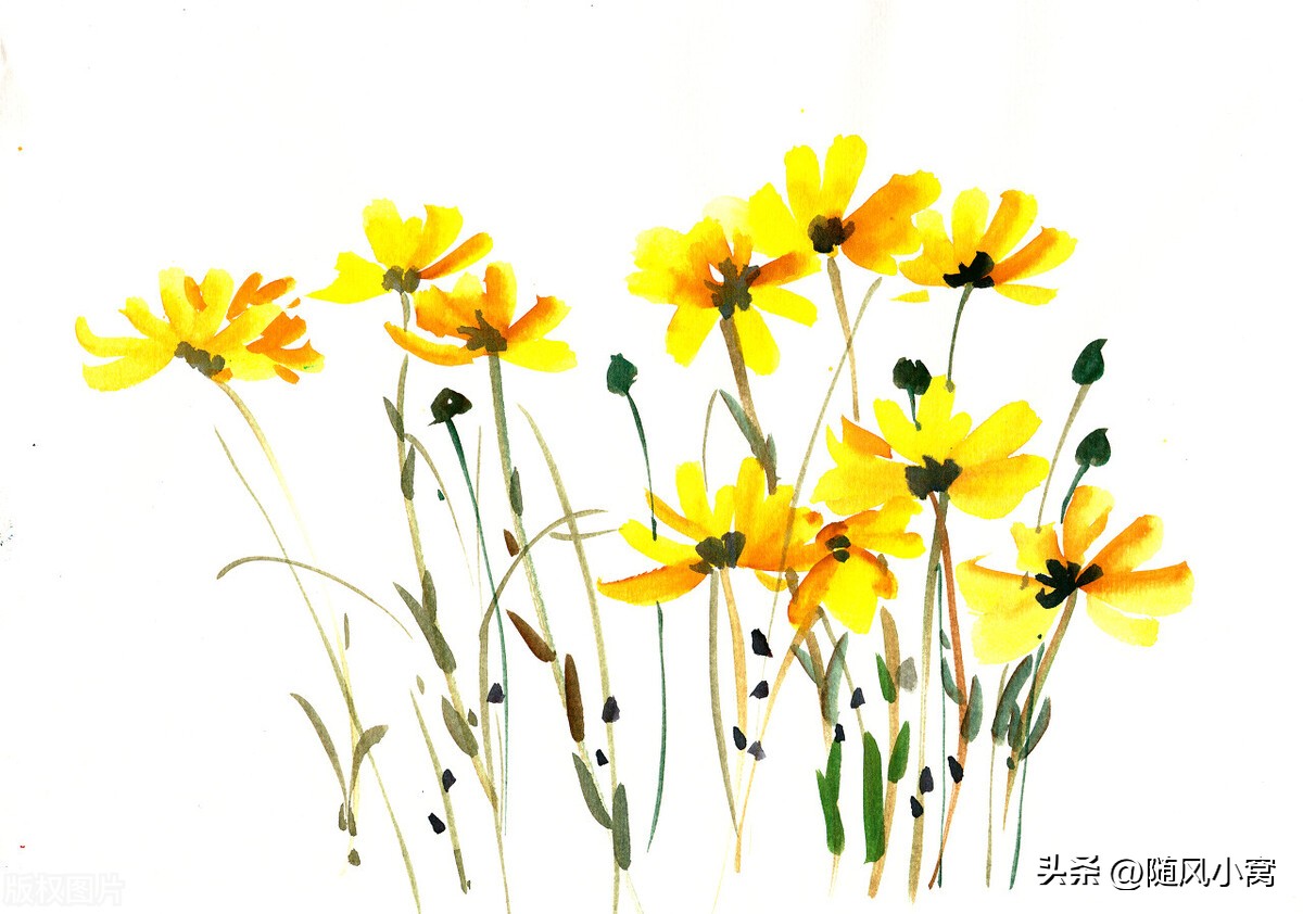 宝宝甲流感染者1-7天表现症状图,5岁孩子支原体感染高烧