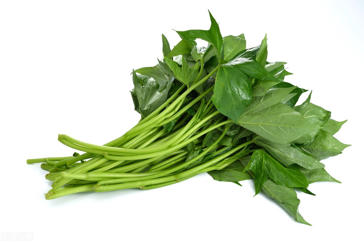 这5种绿叶菜，比牛奶含钙高，每天吃一把，全家老小钙都补足了