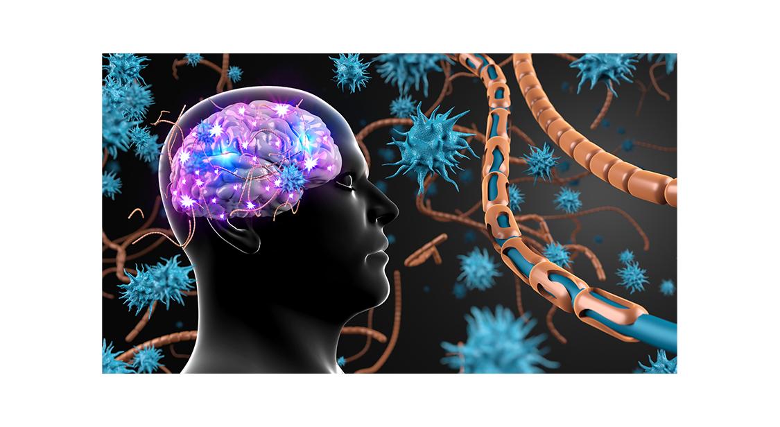 干细胞治疗脑梗的新突破,干细胞治疗脑梗塞后遗症展望