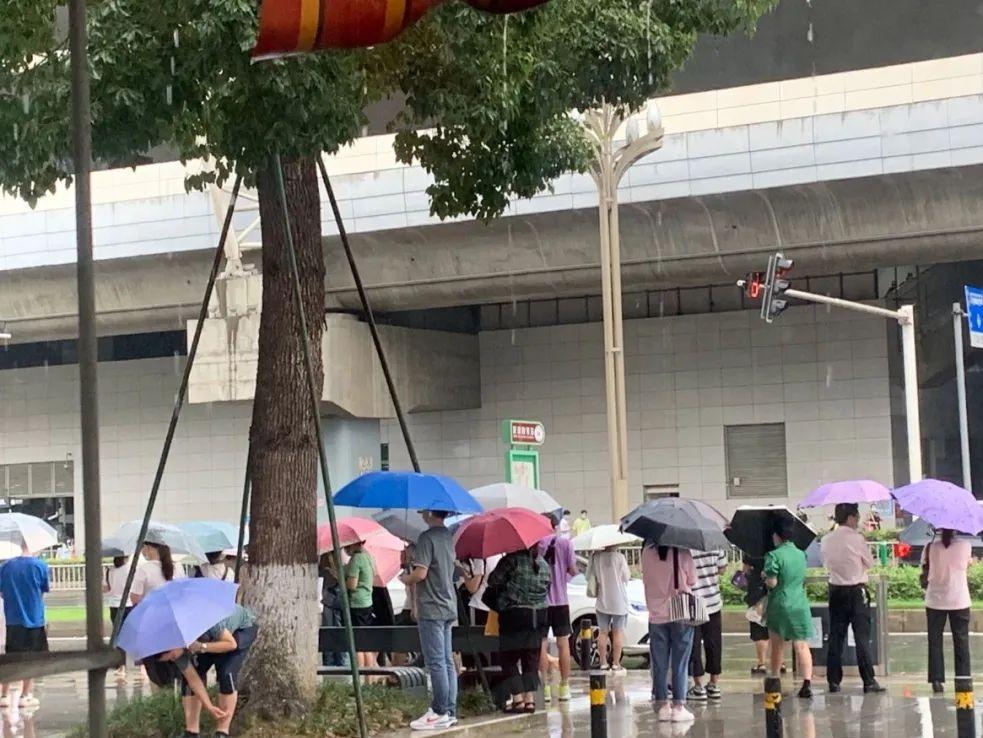 下雨天的音乐分享,下雨天一首新歌与友友们一起分享