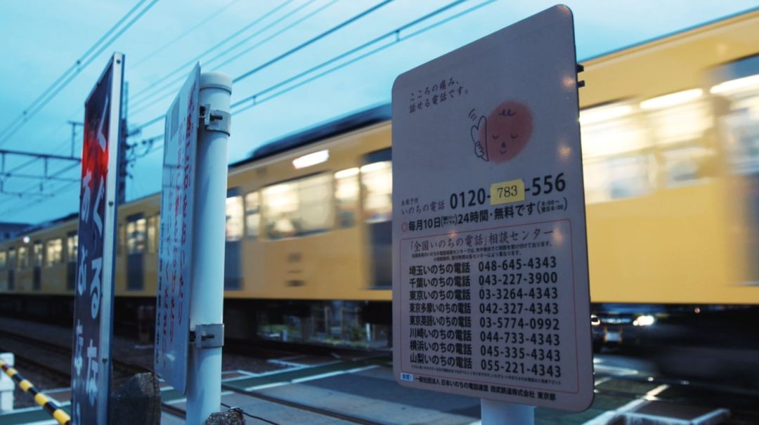 揭秘日本自杀森林:每年数百人上吊自杀,有人专门去捡尸体