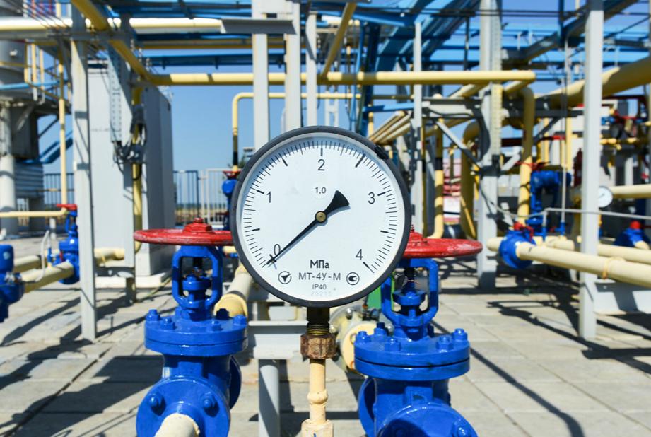 德国哈贝克最新消息,哈贝克德国