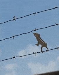 塞进去容易拔出来难,妹子着急死了哈哈哈哈哈哈！真的尴尬啊