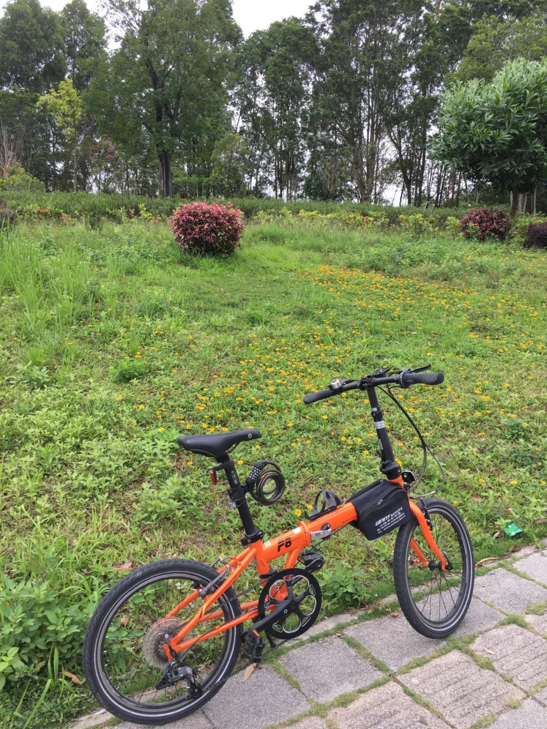 旭光电动车行,旭光车行向阳路