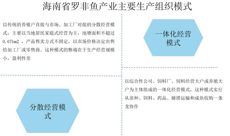 罗非鱼市场行情报告,2024年罗非鱼行情走势