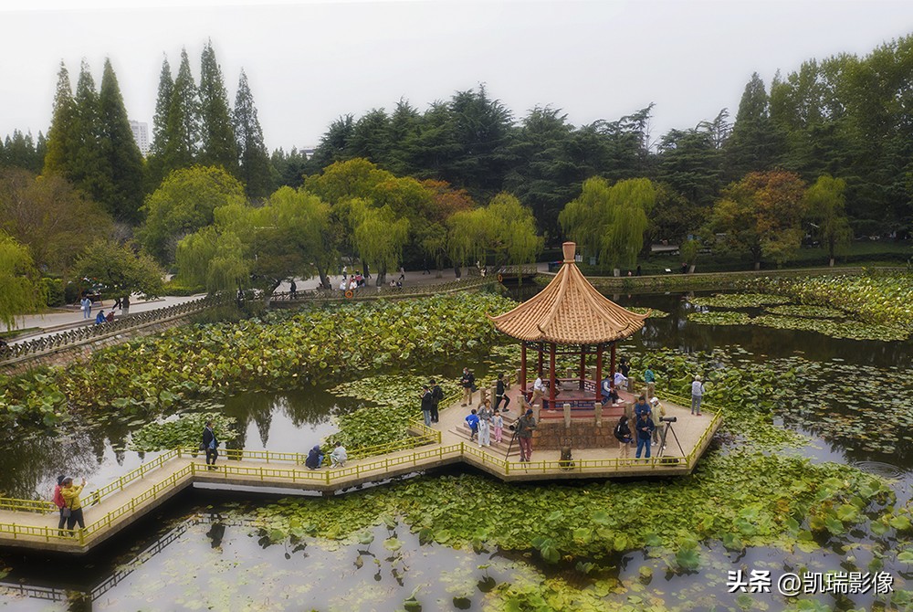 十月一青岛中山公园游玩攻略,国庆青岛中山公园游玩攻略