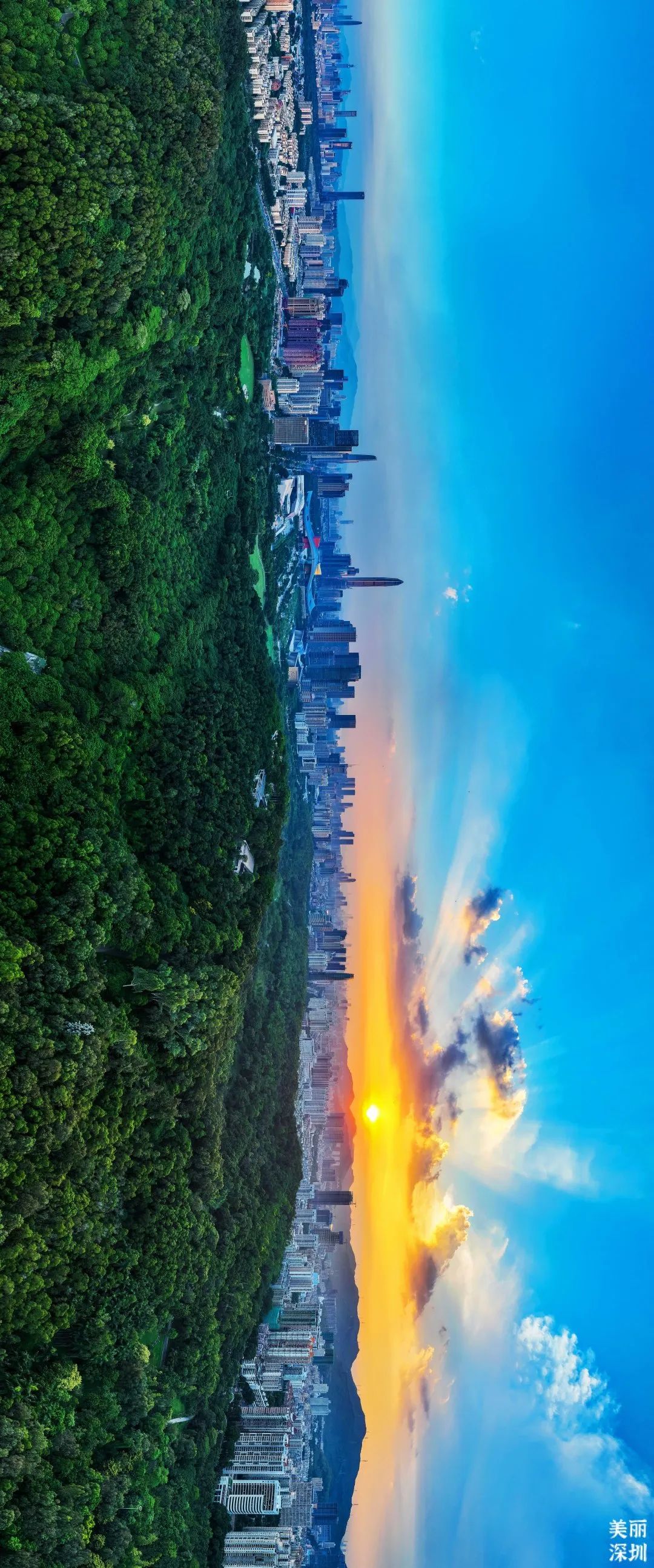 深圳最美公园是什么样子的,深圳市最美公园图片欣赏