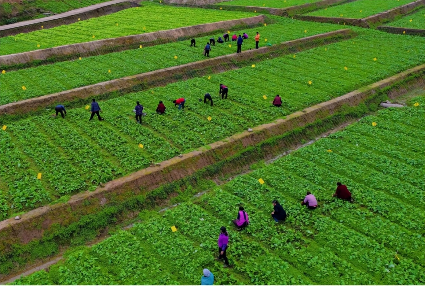 关于国家农村土地改革的新政策,目前农村土地改革政策
