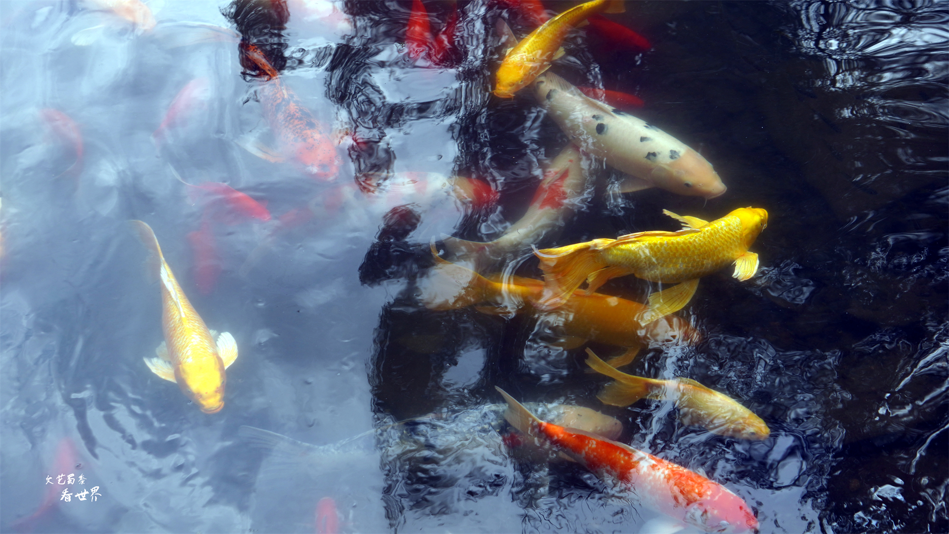 夏天避暑的好地方承德避暑山庄,乾隆避暑山庄很凉快吗