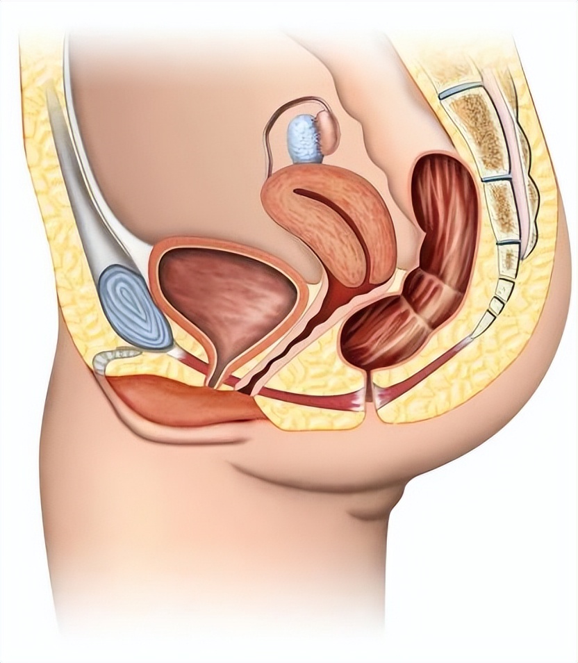水上乐园游泳得妇科病,水上乐园感染红眼病