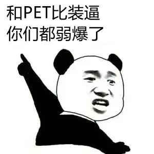 pta现货今日行情走势分析,3月24日pta期货行情预测