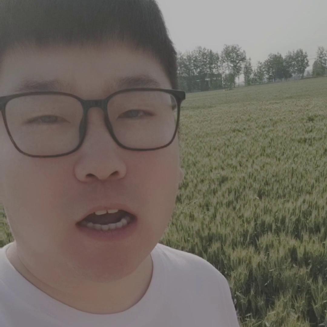 100元一袋的玉米,玉米专用肥能不能掉价