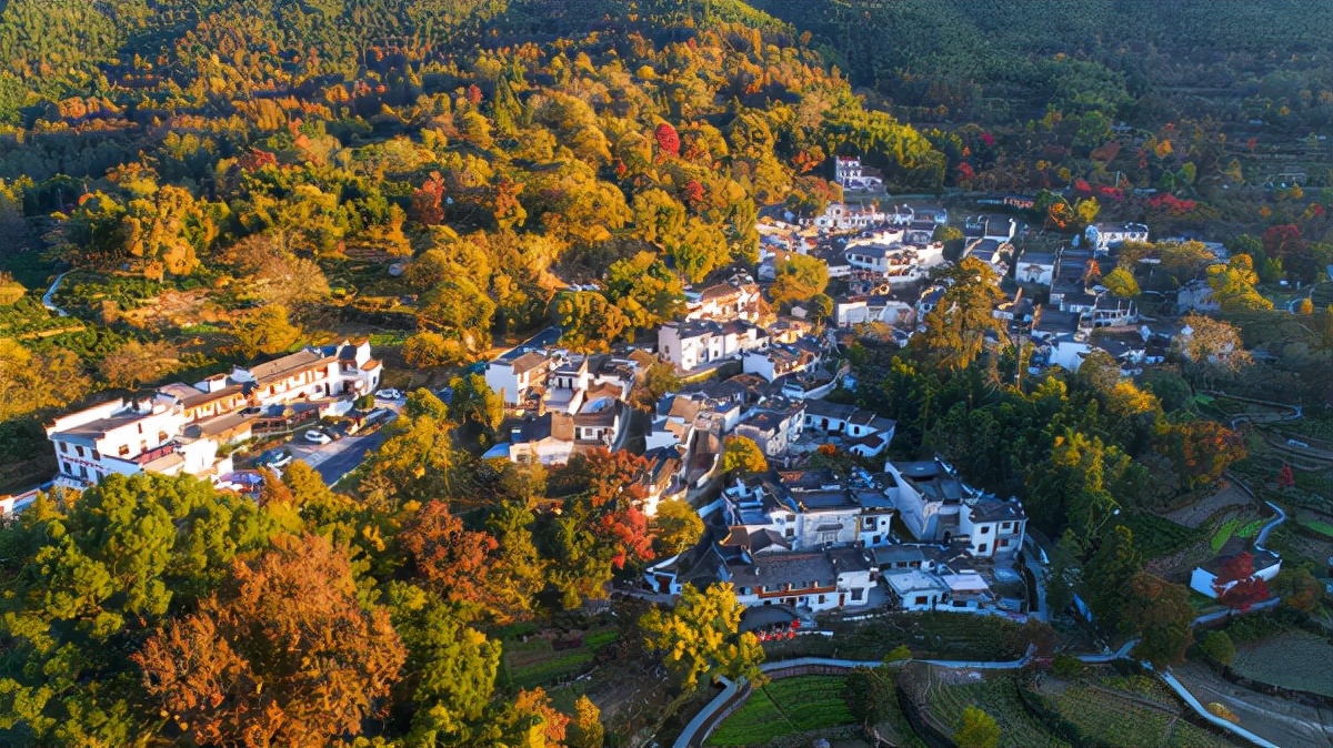 黄山天然氧吧旅游景点,黄山国家级自然保护区