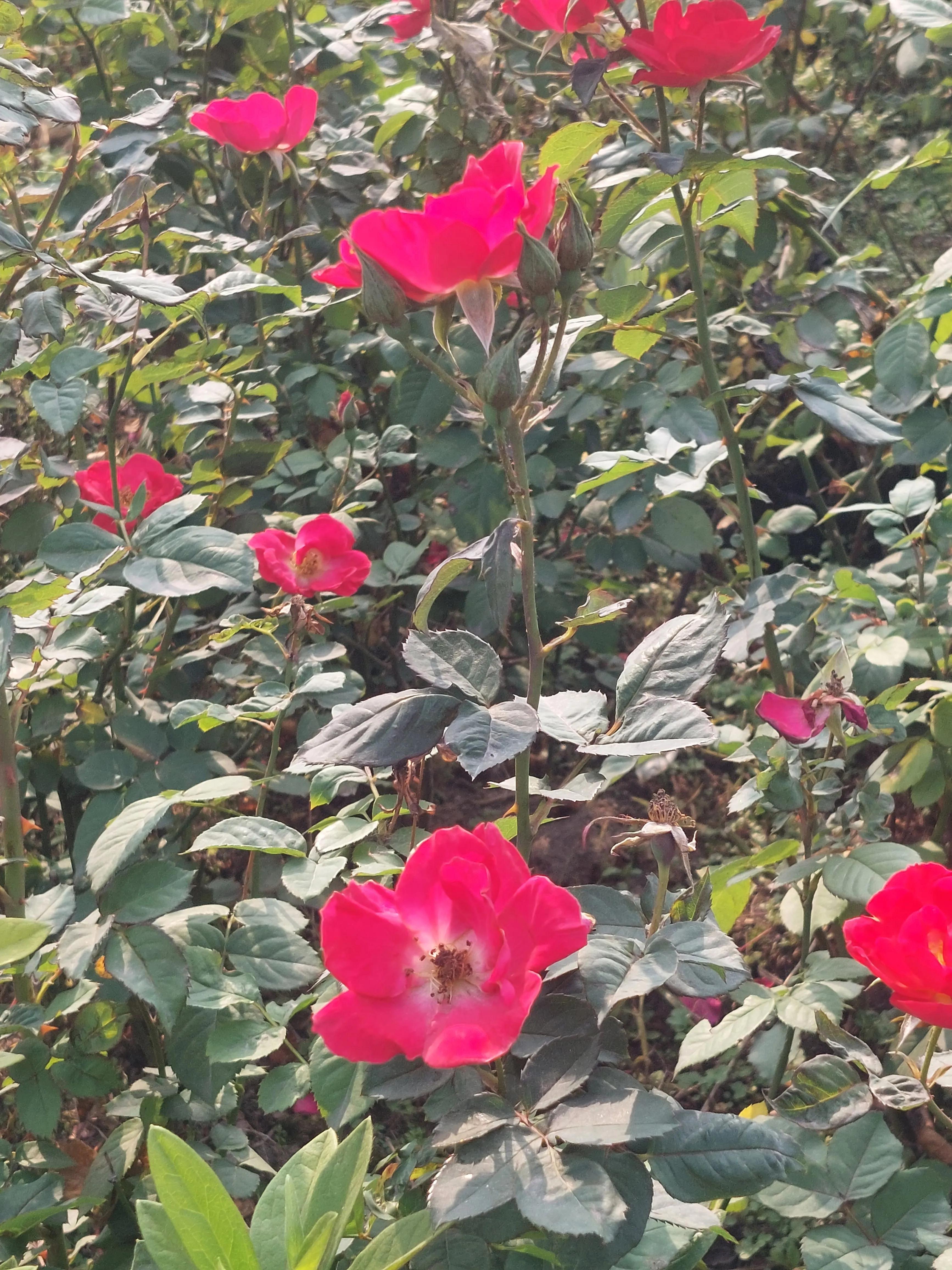 足球魅力是什么意思,足球的魅力就是绝杀瞬间