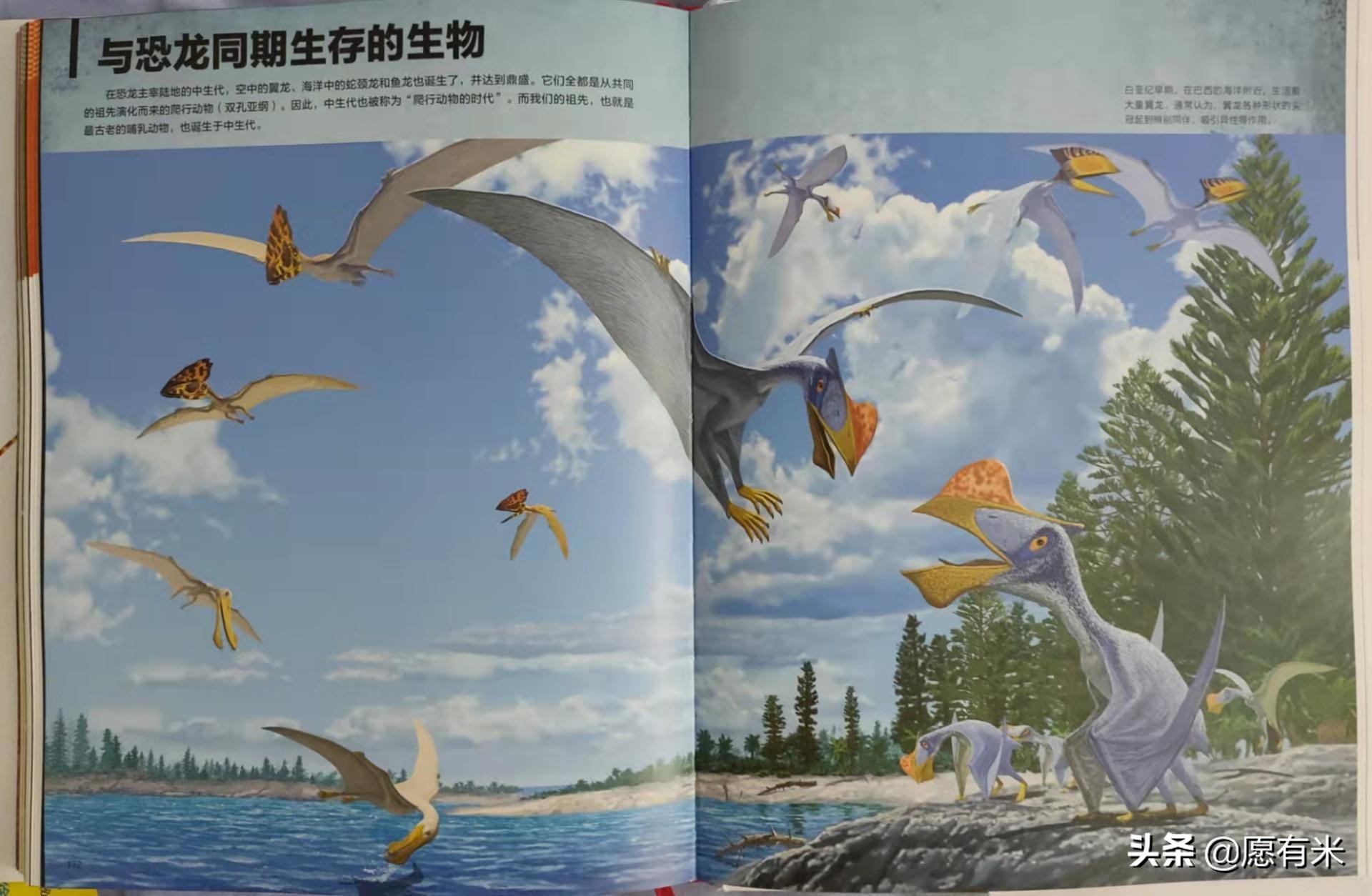 恐龙图片大全大图和恐龙名称,恐龙世界各种恐龙图片