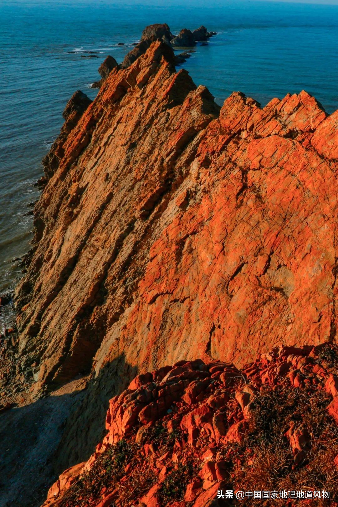 辽宁哪个地方的海鲜最好,辽宁各市都有啥海鲜