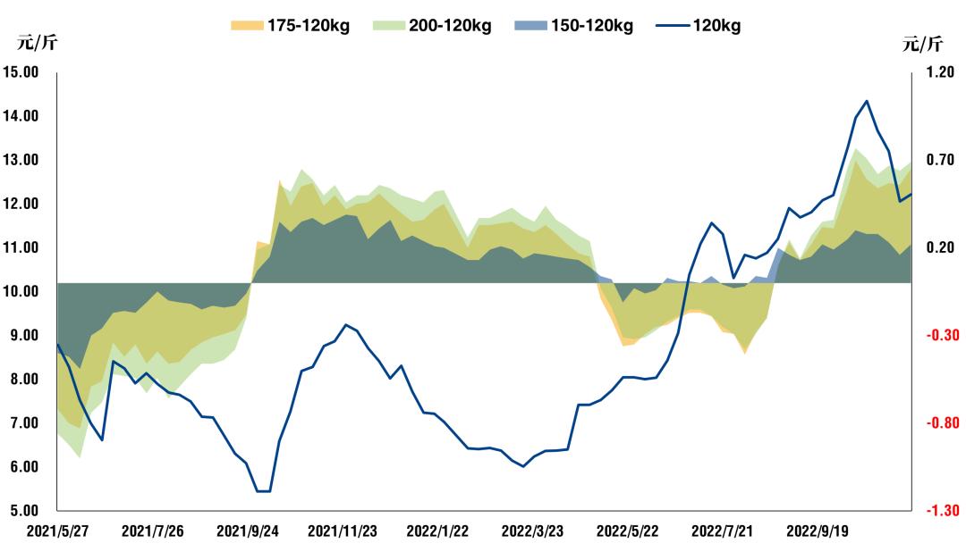 2022年猪价什么时候能反弹,生猪连跌6周猪周期拐点到了吗