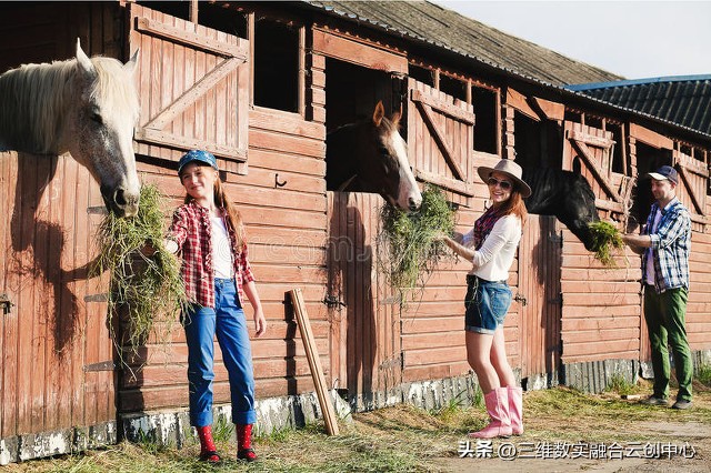 新型家庭农场的致富路,家庭农场的发展红利又将迎来高潮