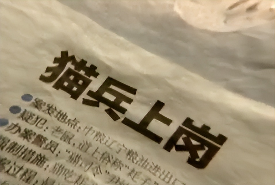 辽宁国家粮仓遭鼠患，员工训练流浪猫当兵入伍，厂内上演猫鼠大战