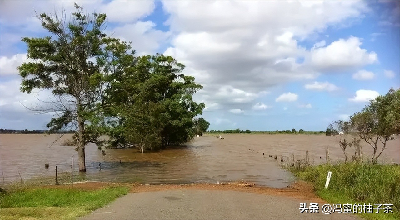 保险赔偿和金额的区别,保险价格跟什么有关系